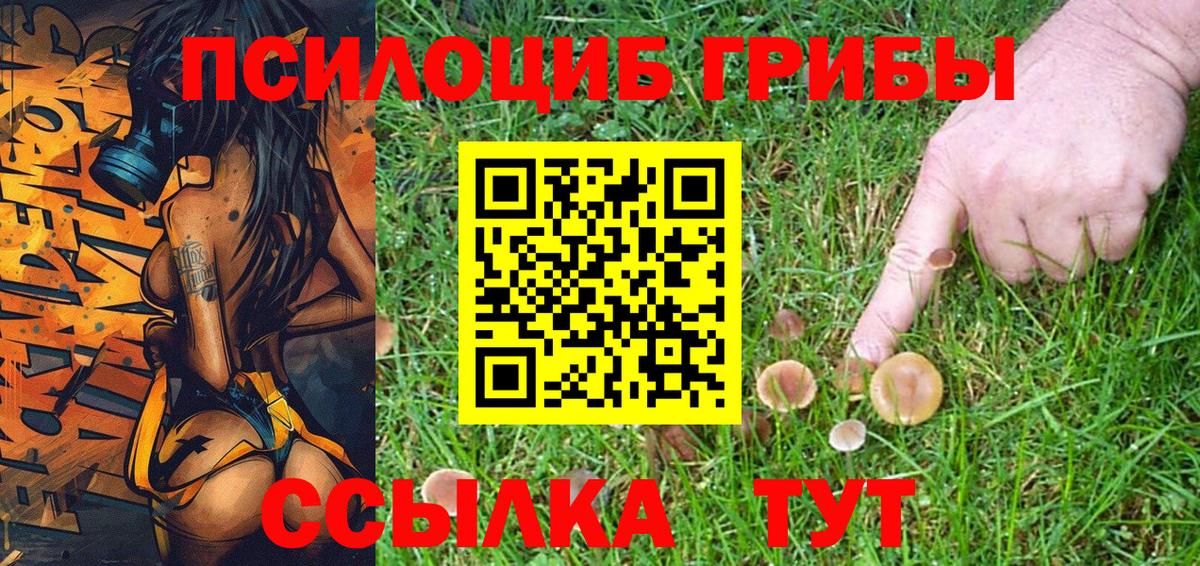 Галлюциногенные грибы Magic Shrooms  Вход с VPN  Боровичи 