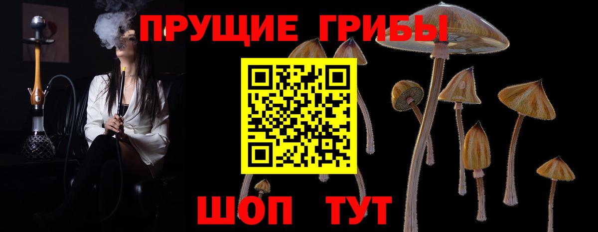 Псилоцибиновые грибы Magic Shrooms Боровичи